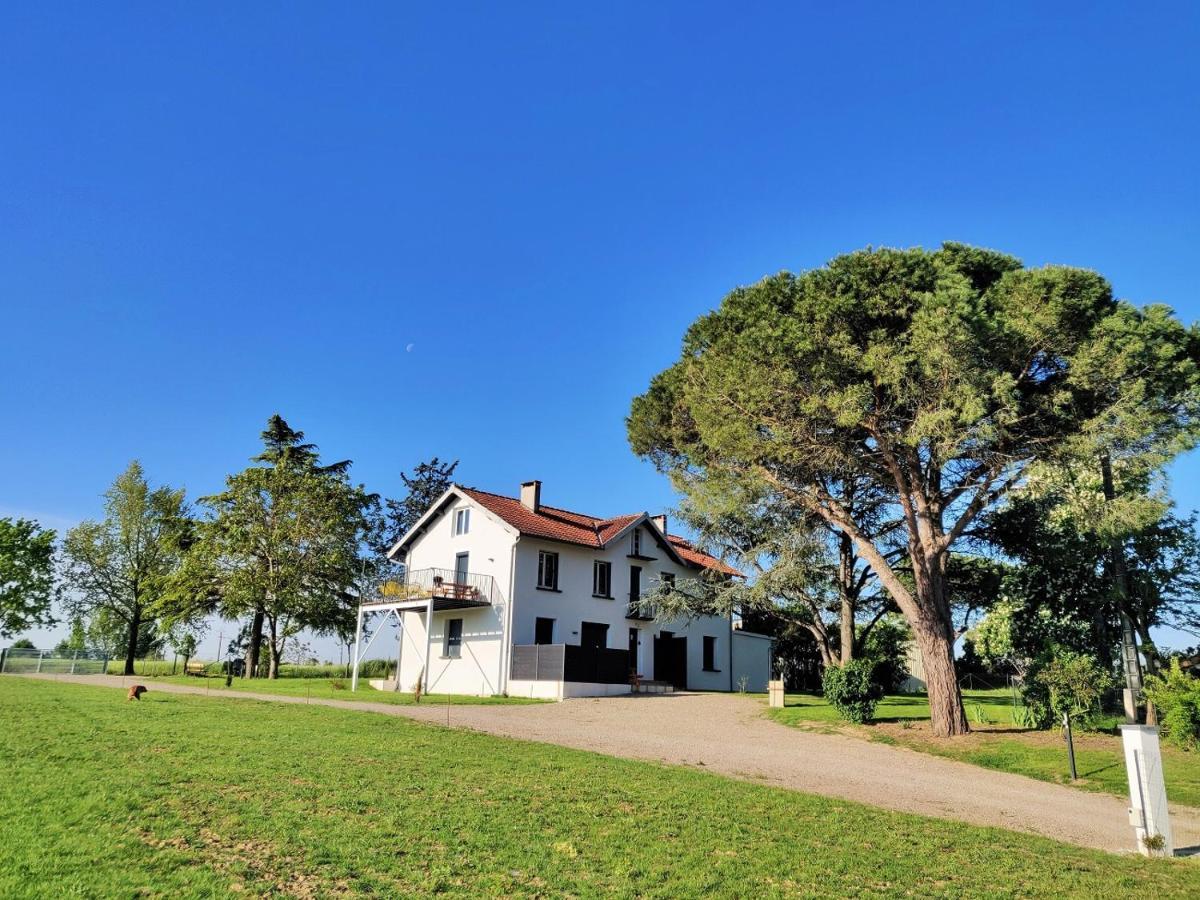 Le Cottage Nature Primeur Sauna Gaillac Entre Albi-Toulouse & Les Cottages Du Tarn Brens  Экстерьер фото